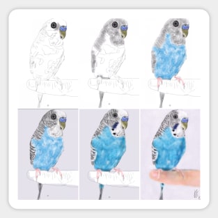 Parakeet - From Sketch to Portrait Sticker